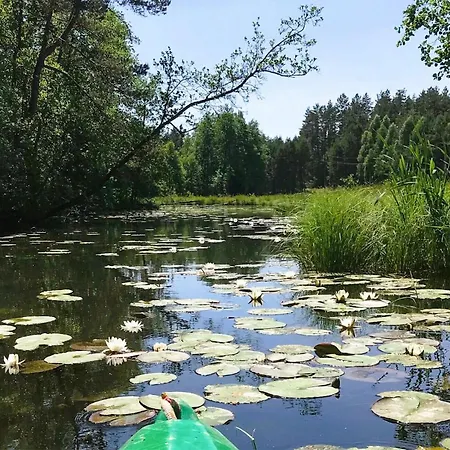 3 Bedroom Stunning In 別荘 *